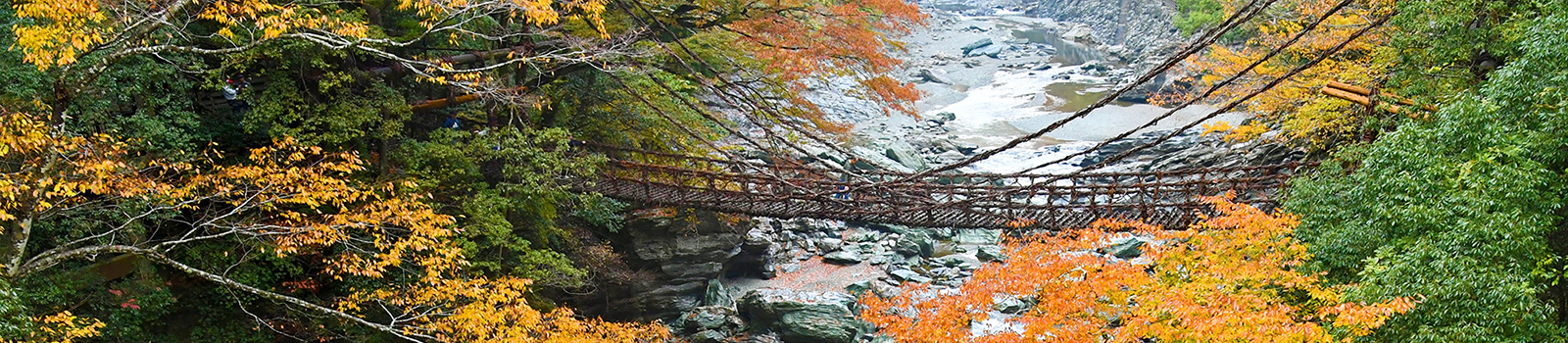 奥祖谷二重かずら橋