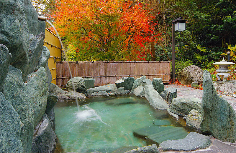 祖谷渓温泉 ホテル秘境の湯
