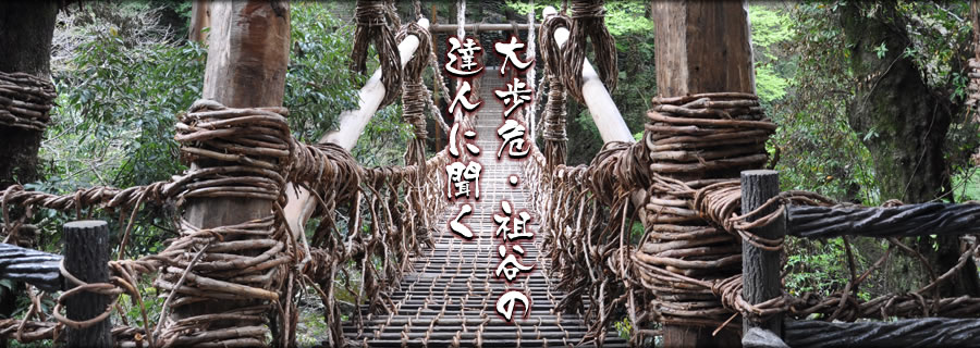 大歩危・祖谷の達人に聞く「出会う」＞大歩危祖谷温泉郷—絶景ロマン 