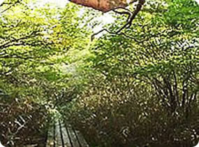 野鹿池山(のかのいけ)
