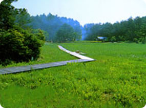 黒沢(くろぞう)湿原