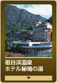 祖谷渓温泉　ホテル秘境の湯