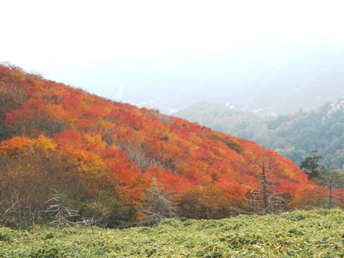 剣山　紅葉1.jpg