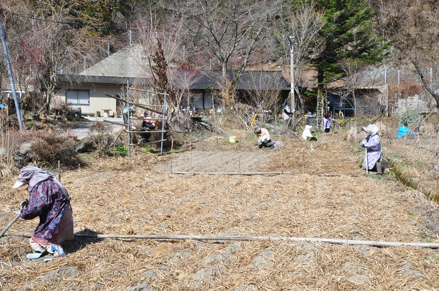 DSC_00401111.JPGかかし2