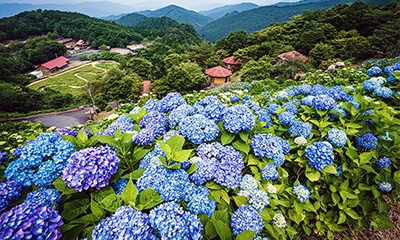 塩塚高原キャンプ場