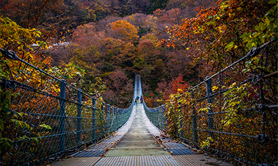 龍宮崖公園